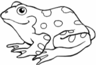 Як намалювати жабу олівцем поетапно для дітей: легко та просто